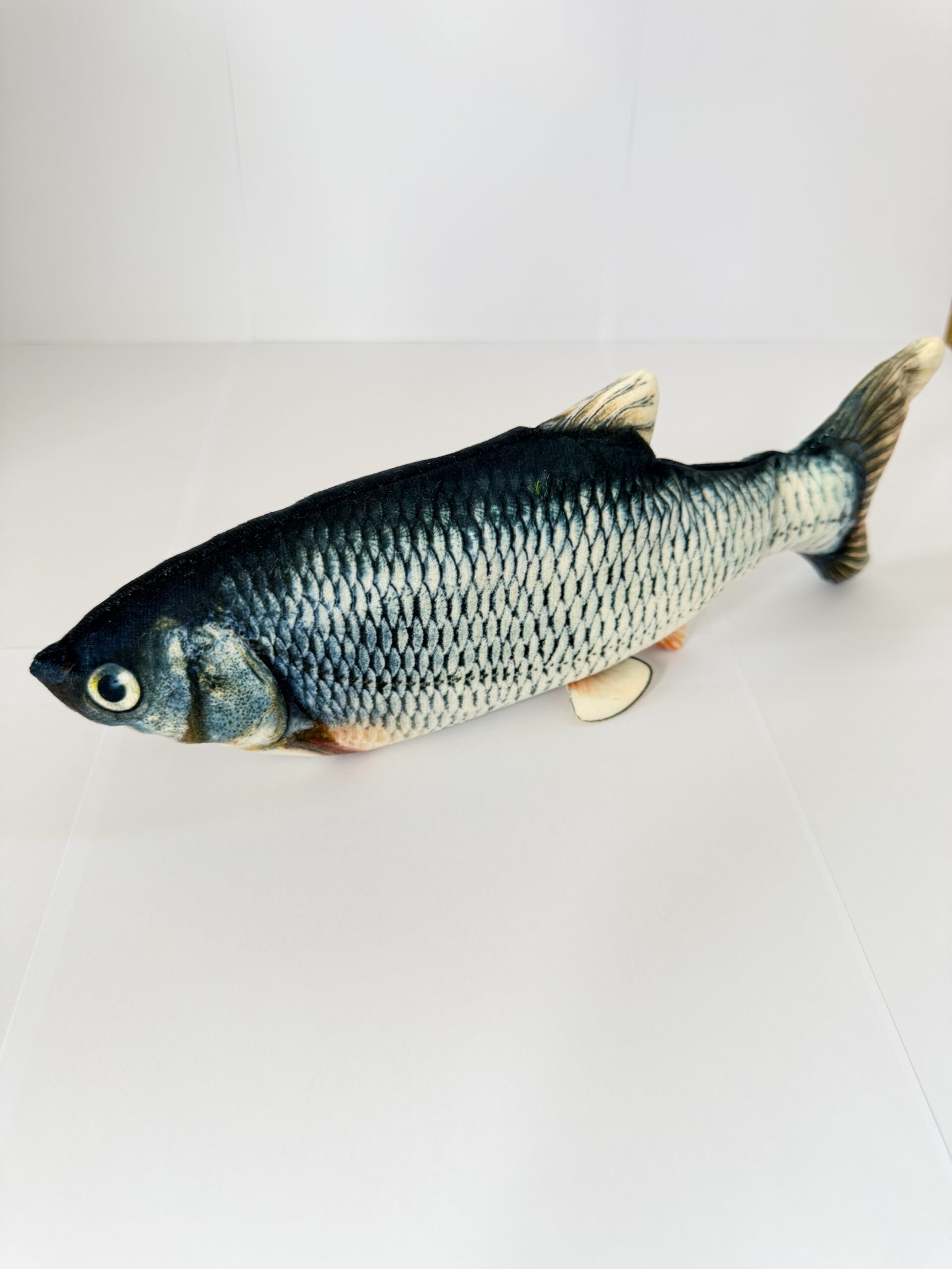 Fish Flop - Image 3