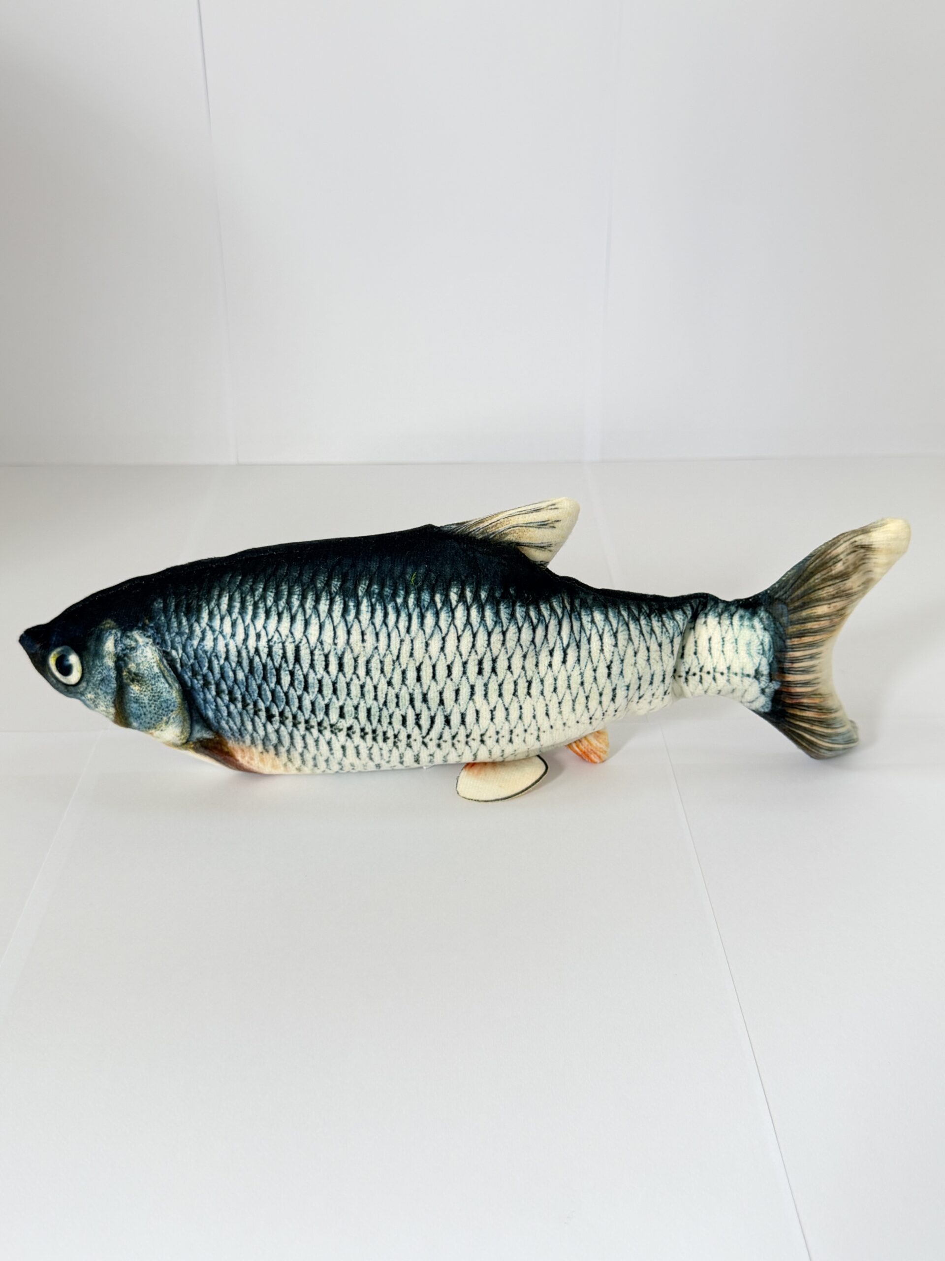 Fish Flop - Image 2