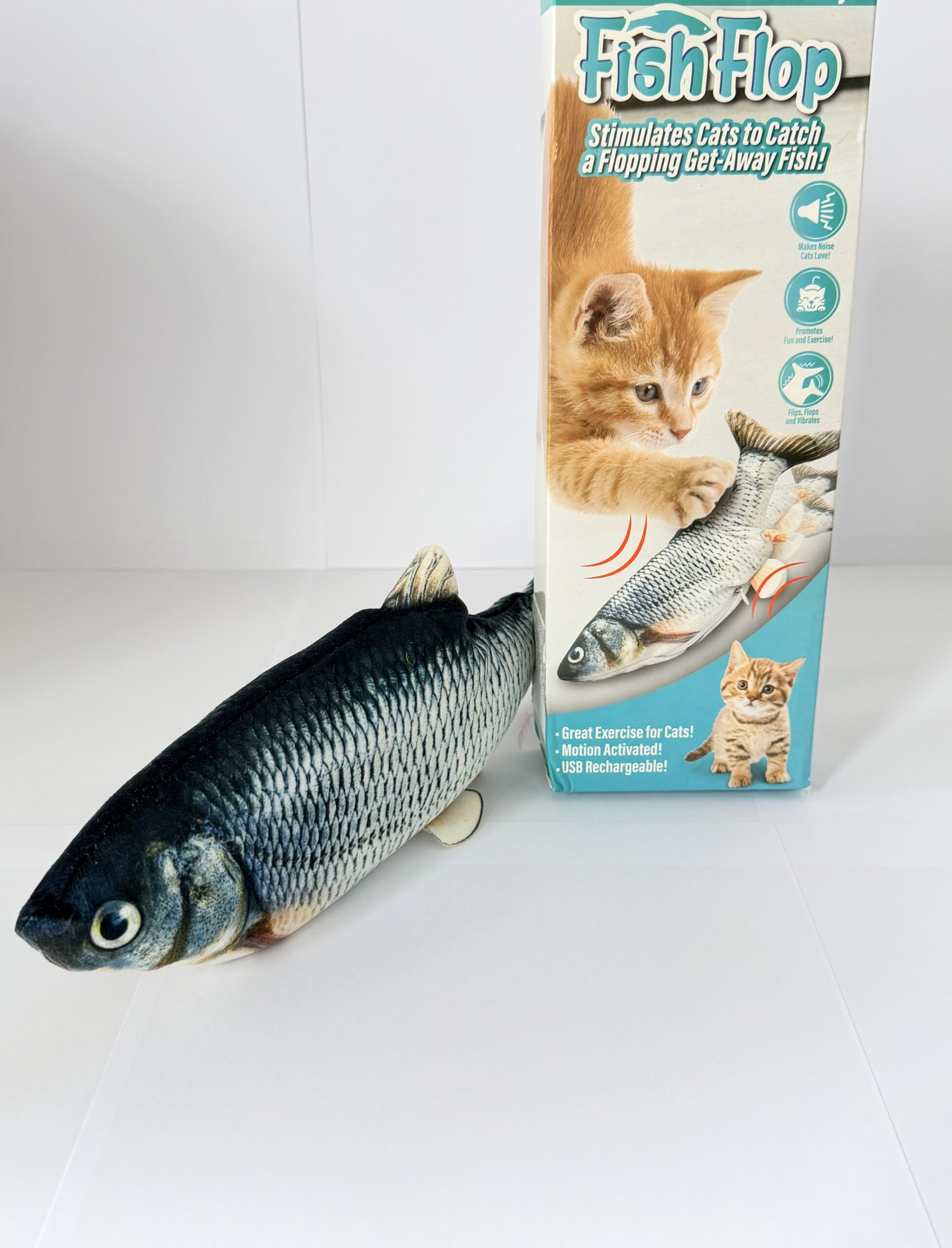 Fish Flop - Image 4